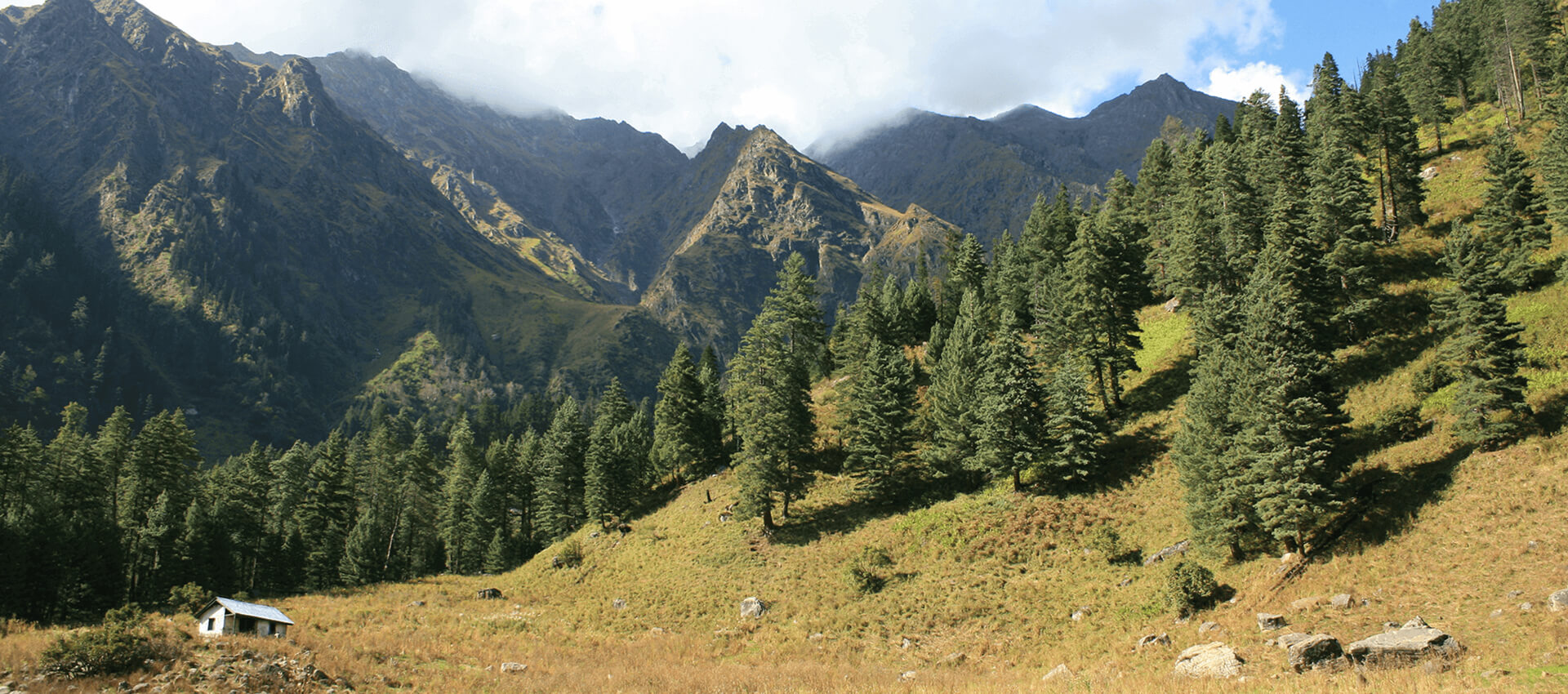 Queen of Hills Shimla