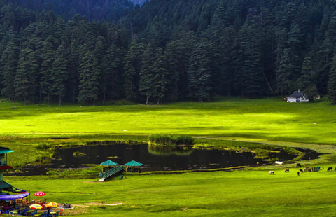 dalhousie volvo tour package